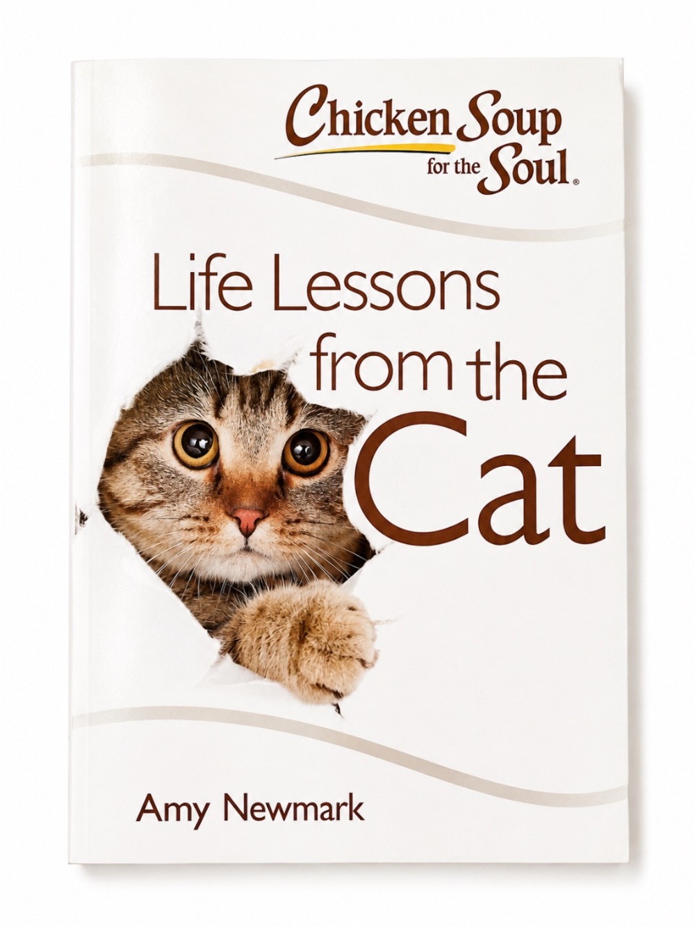Life Lessons from the Cat by Amy Newmark 💥🆕💥